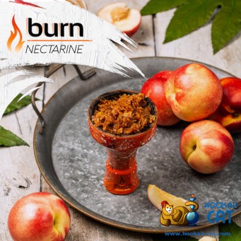 Заказать кальянный табак Burn Nectarin (Берн Нектарин) 100г онлайн с доставкой всей России